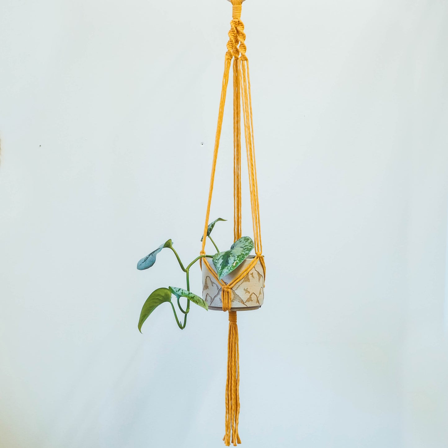 DIY Macrame Classic Plant Hanger Kit