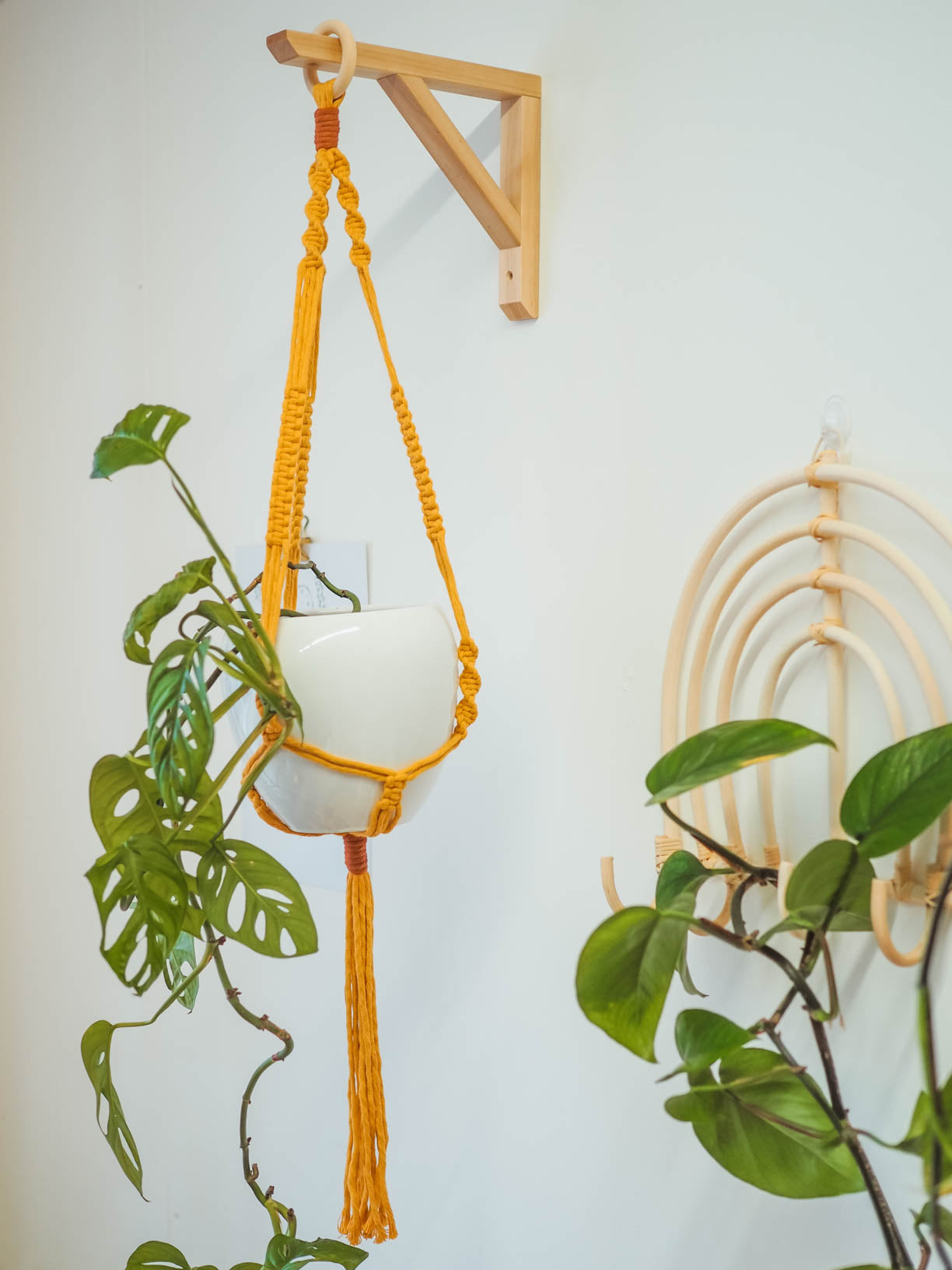 Macrame Plant Hangers | All Colours