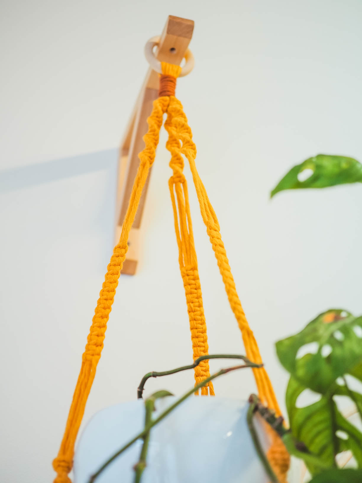 Macrame Plant Hangers | All Colours