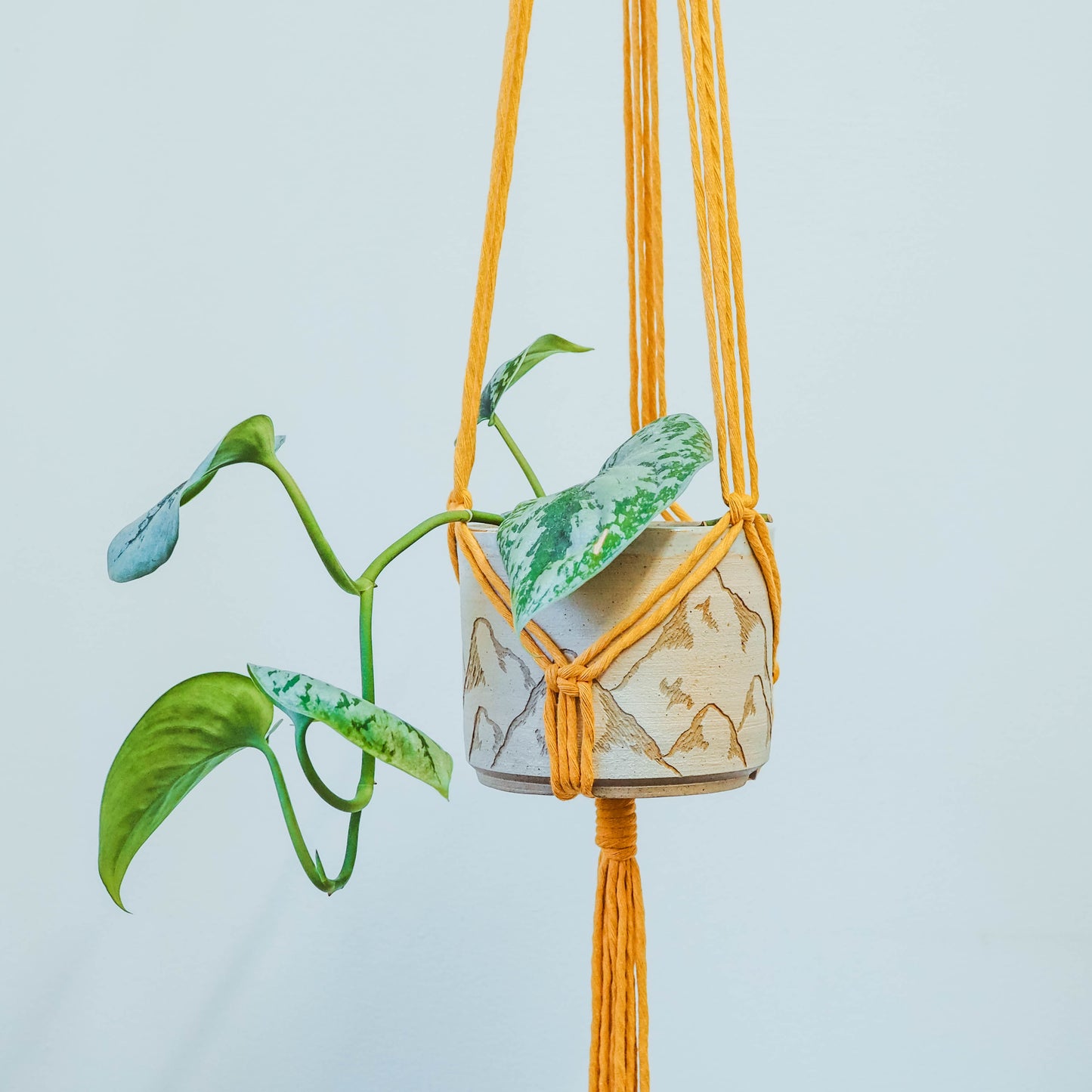 DIY Macrame Classic Plant Hanger Kit