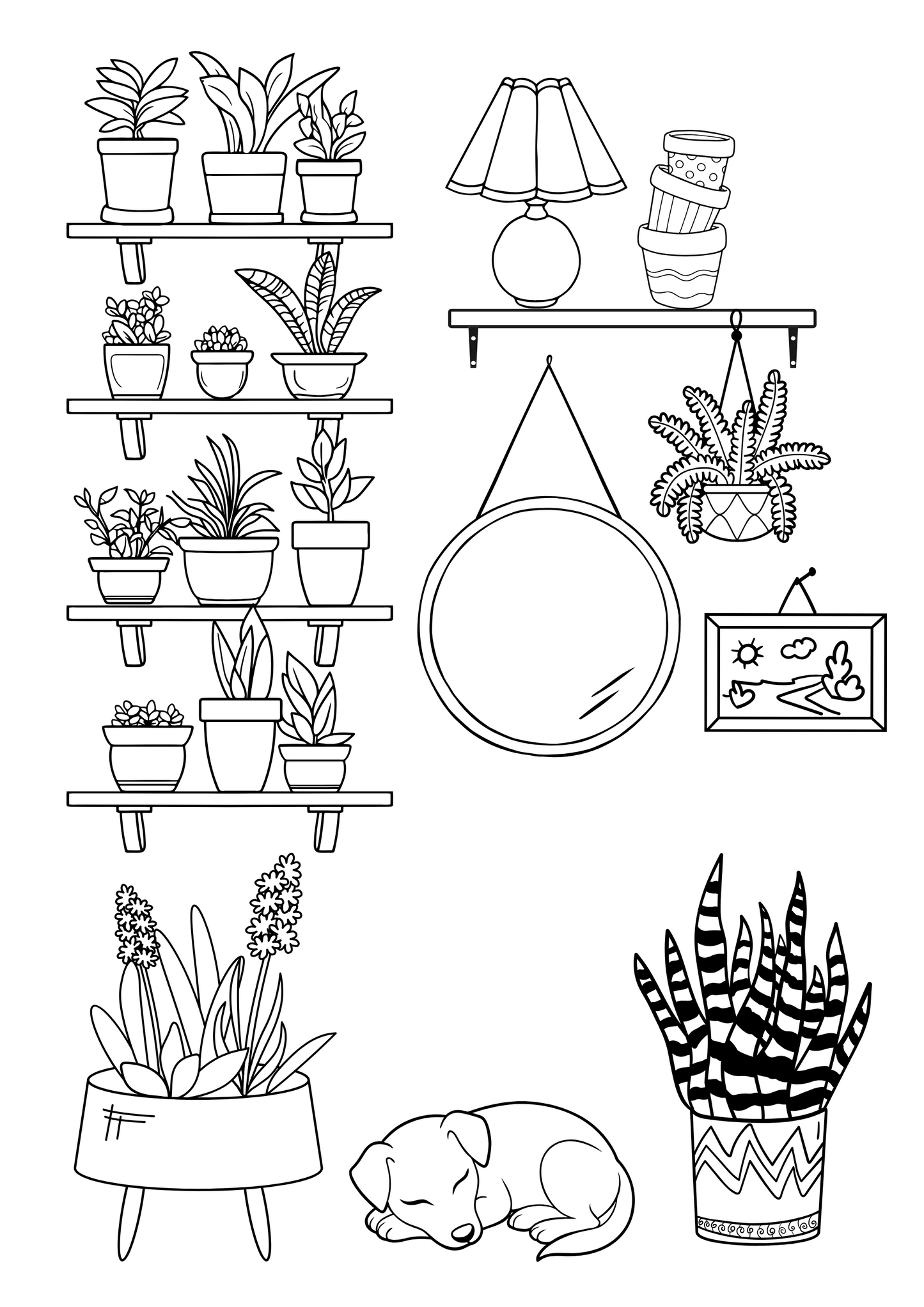 Playful Plants - Relaxing Colouring Book