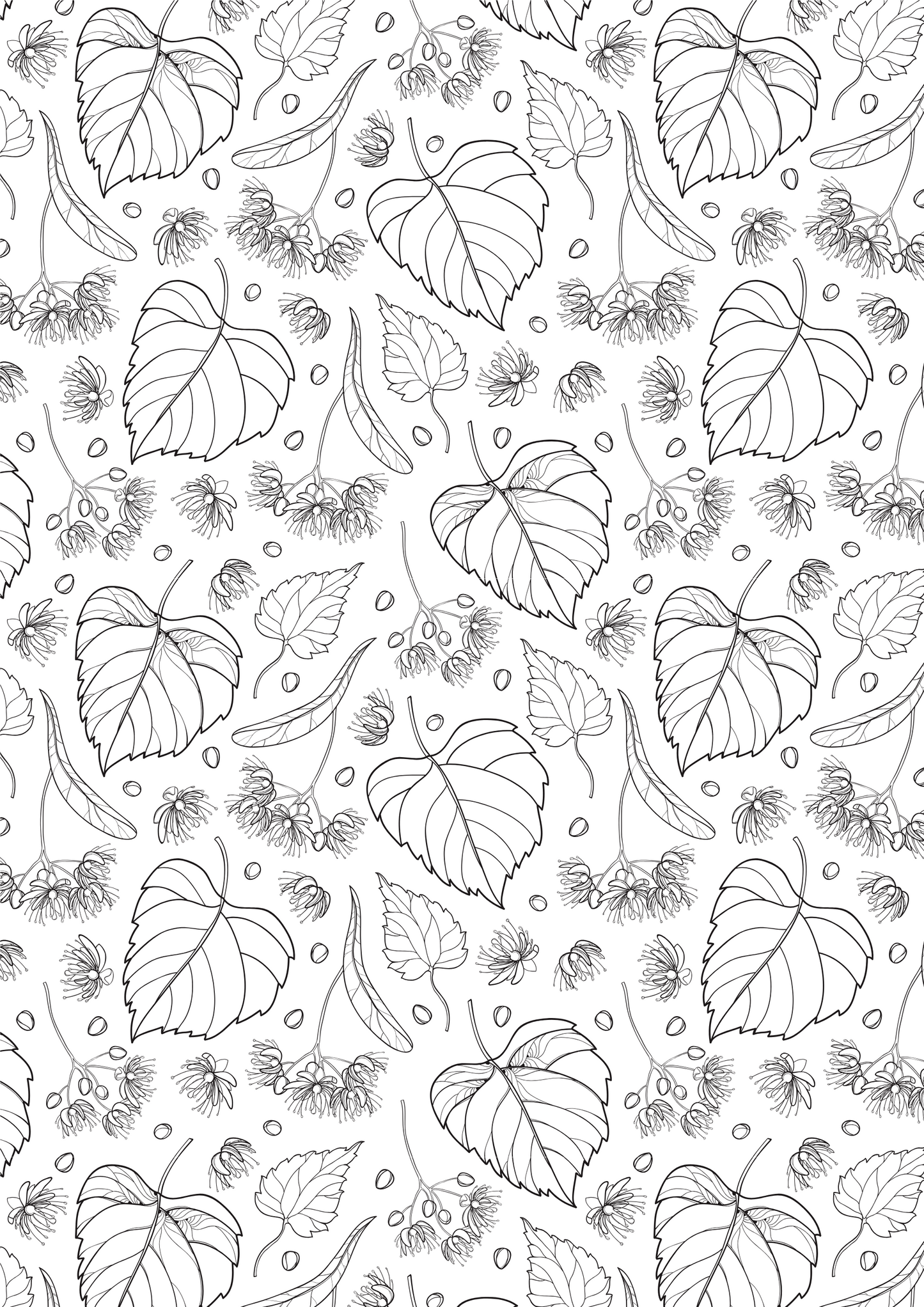 Playful Plants - Relaxing Colouring Book