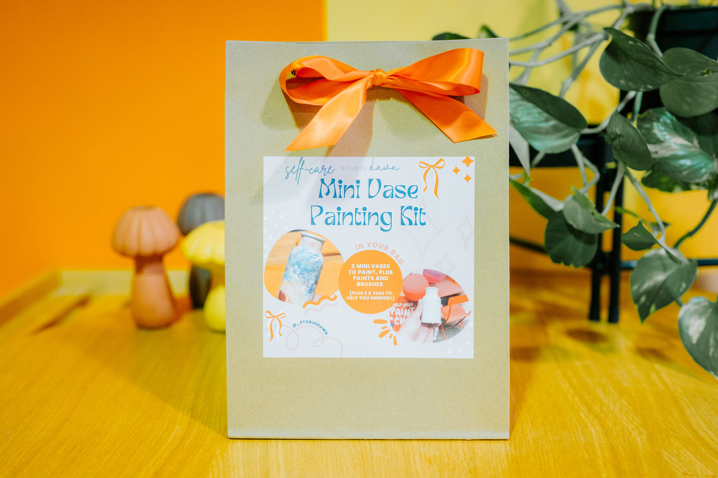 Mini Vase Painting Kit