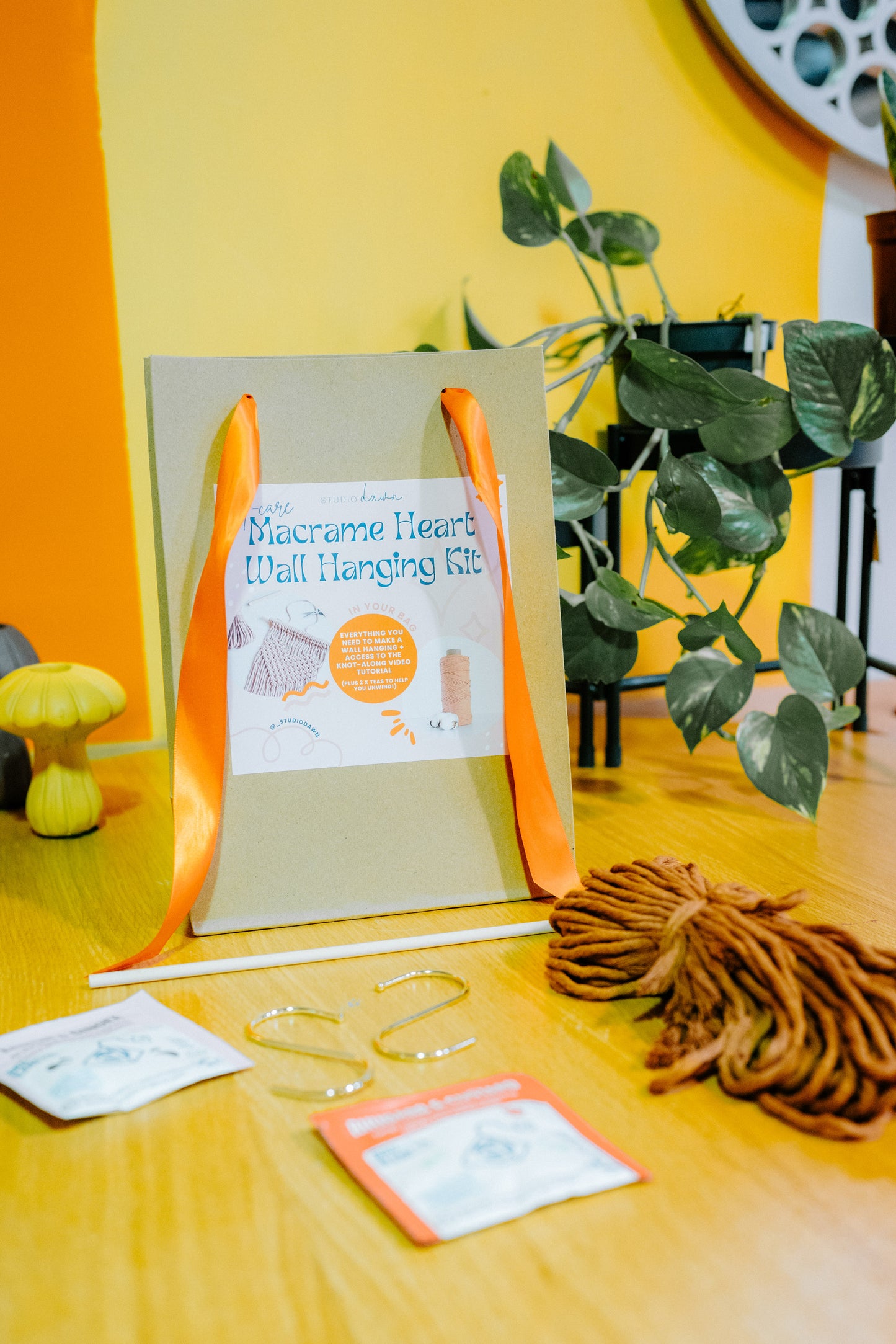 DIY Macrame Wall Hanging Kit