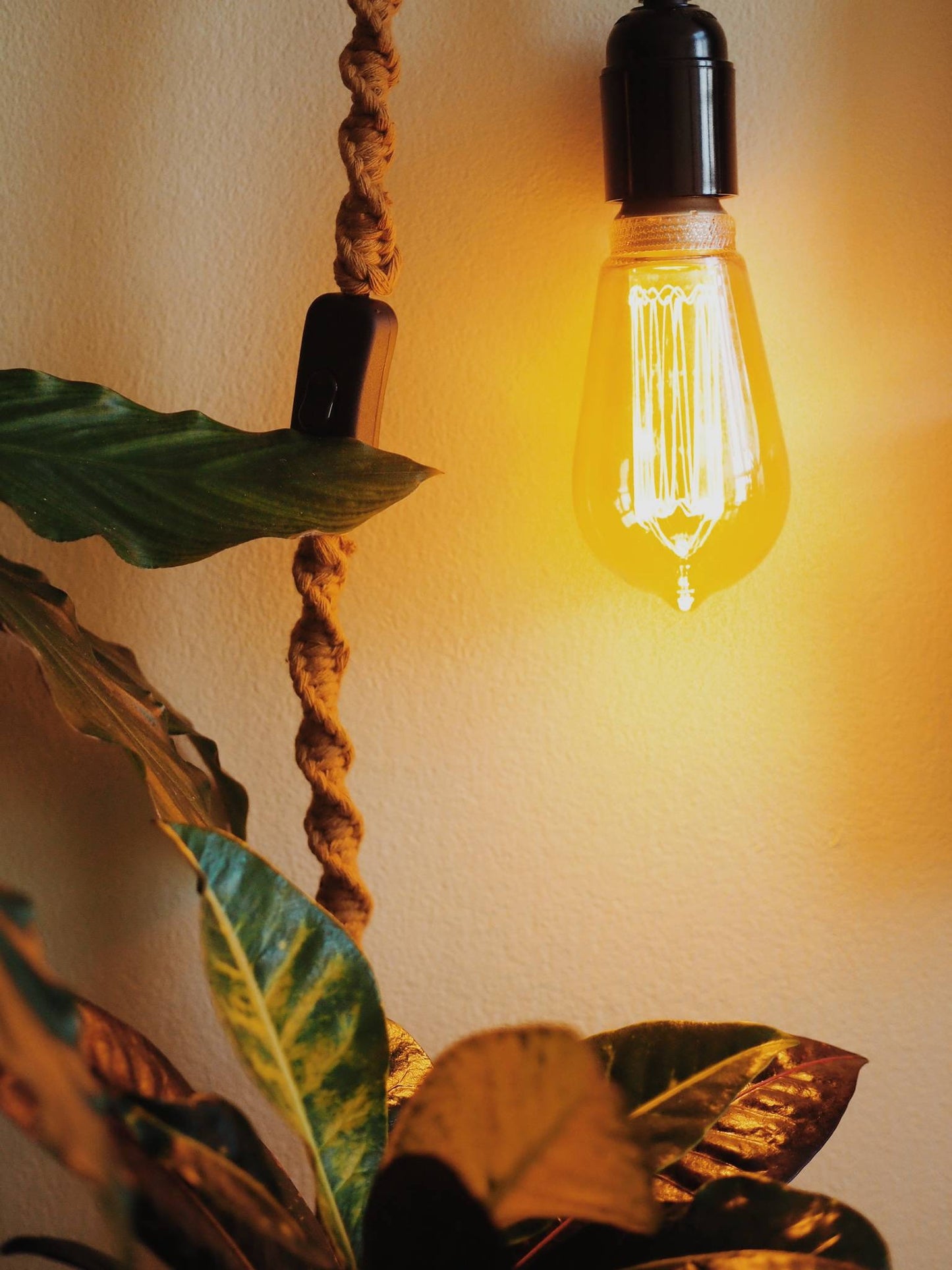 Hanging Wall Light Lamp with Macrame Cord | Choose your colour